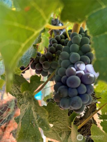 70 E Wapato Lake Road Manson WA 98831