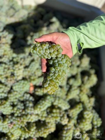 70 E Wapato Lake Road Manson WA 98831