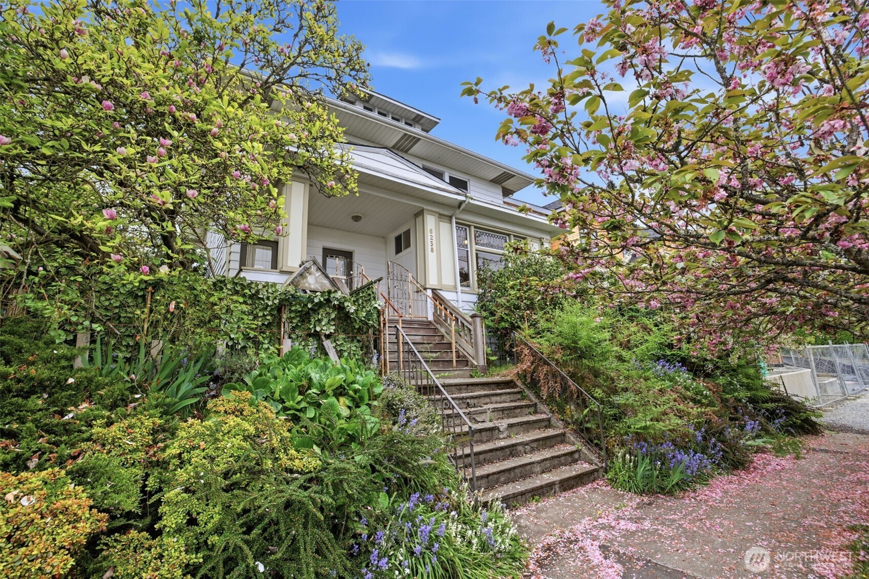 6238 Woodlawn Avenue N Seattle WA 98103
