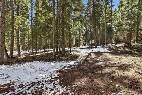 750 Big Horn Way Cle Elum WA 98922