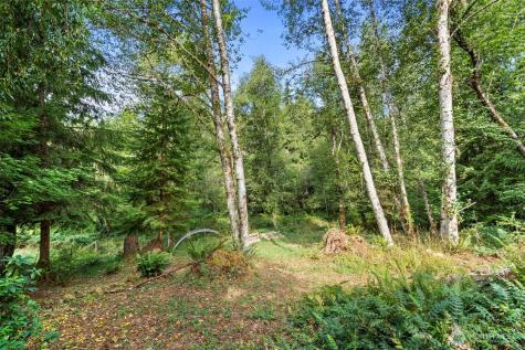 886 Salmon Creek Road Mossyrock WA 98564