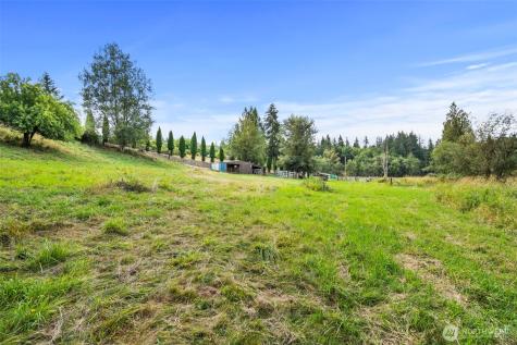 886 Salmon Creek Road Mossyrock WA 98564
