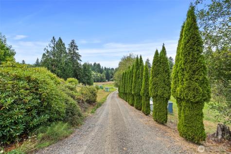 886 Salmon Creek Road Mossyrock WA 98564