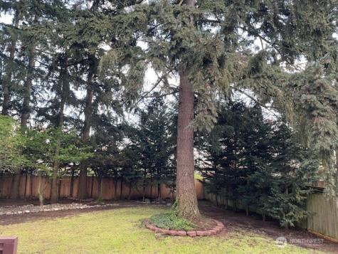9614 175th Street Court East Puyallup WA 98375