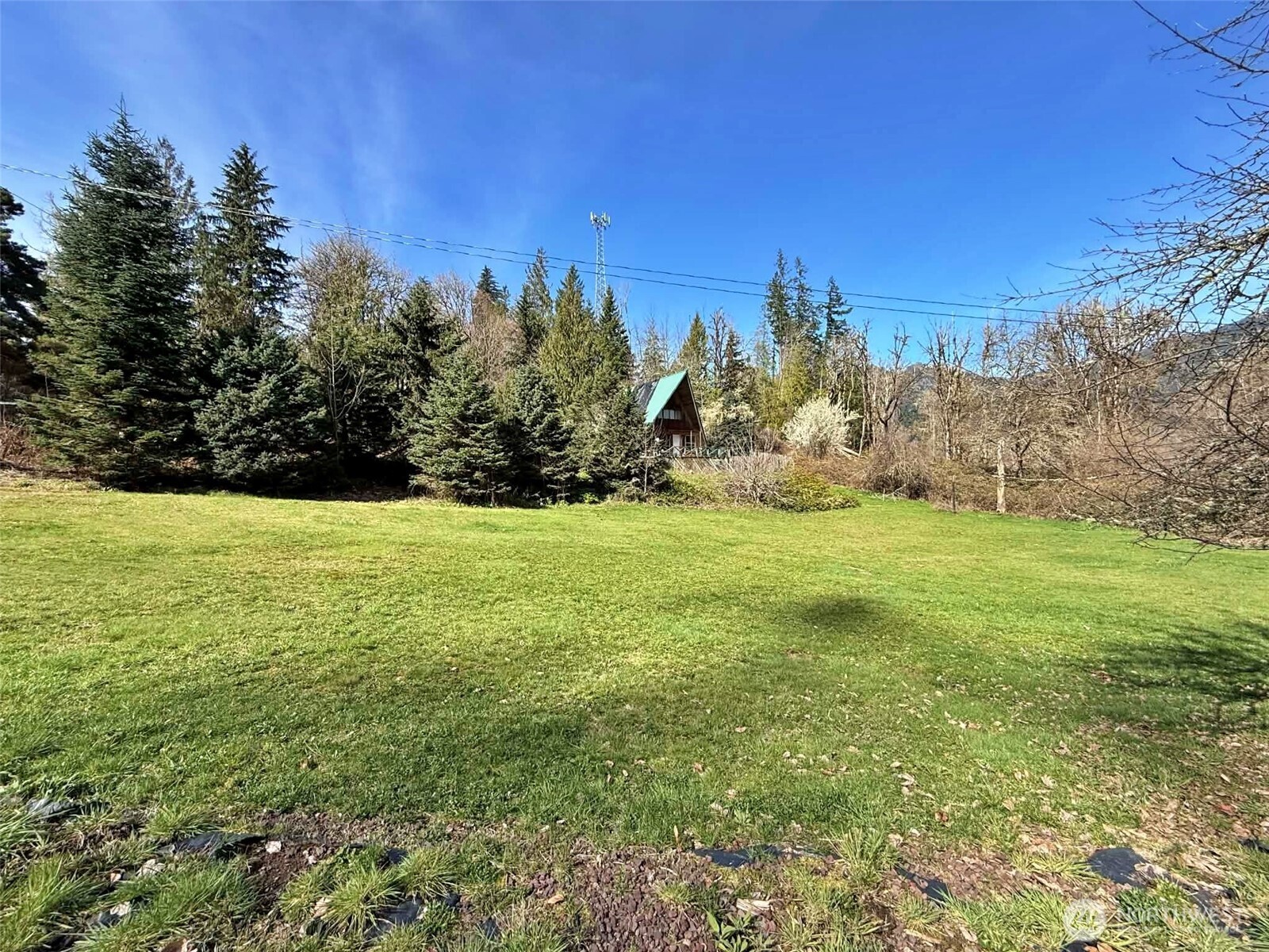 360 Peters Road Randle WA 98377