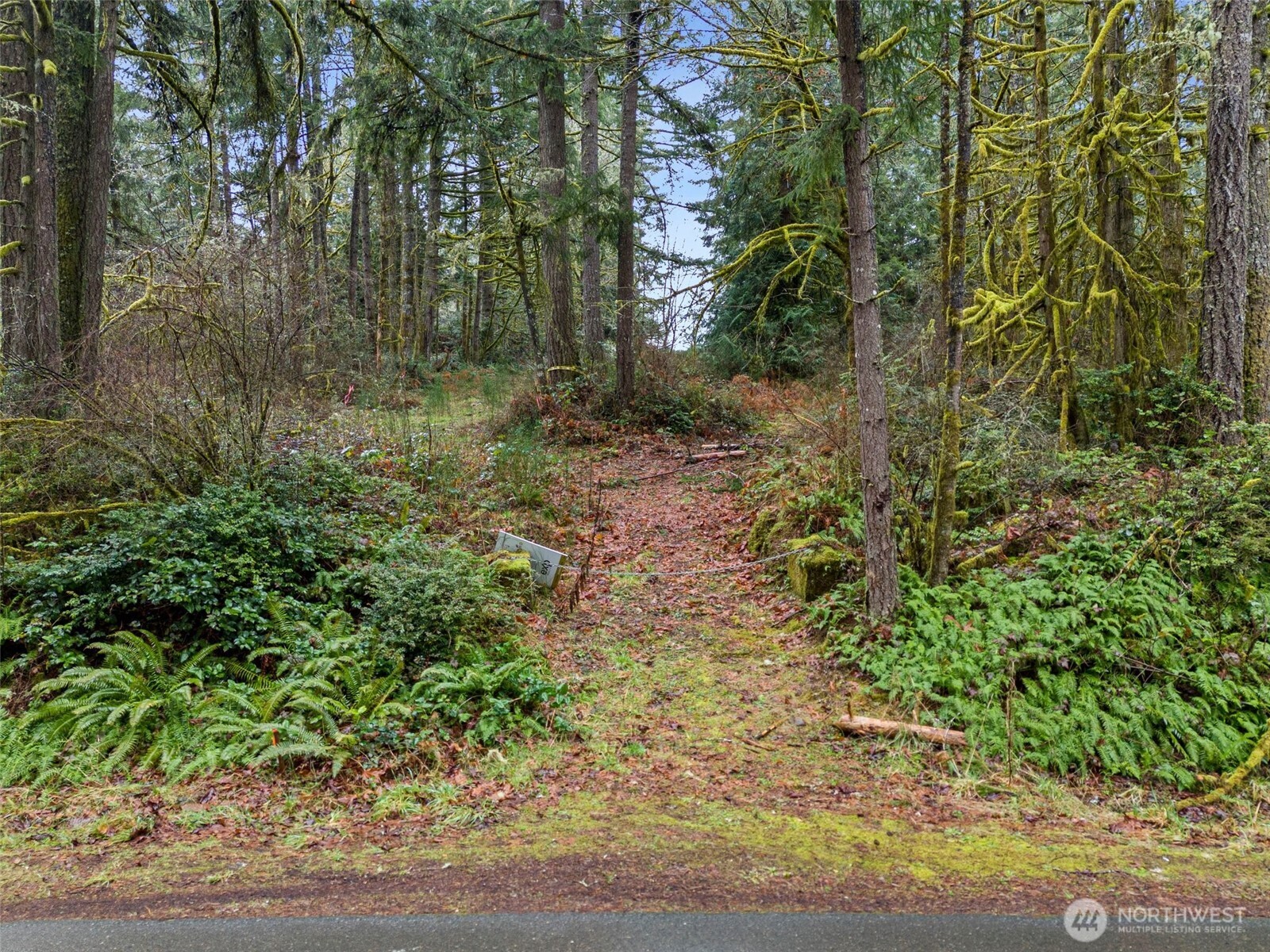 2641 28th Avenue NW Olympia WA 98502