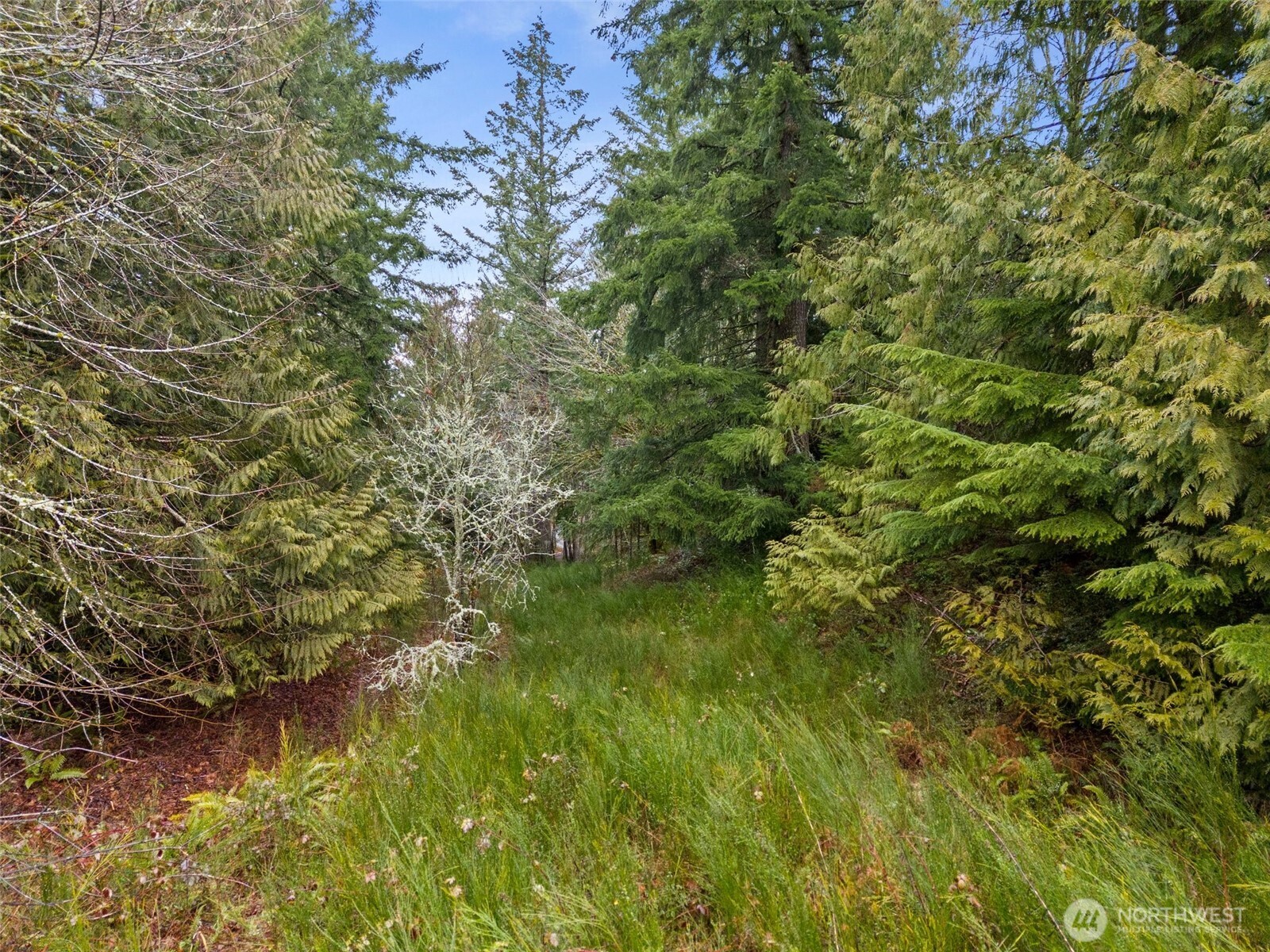 2641 28th Avenue NW Olympia WA 98502