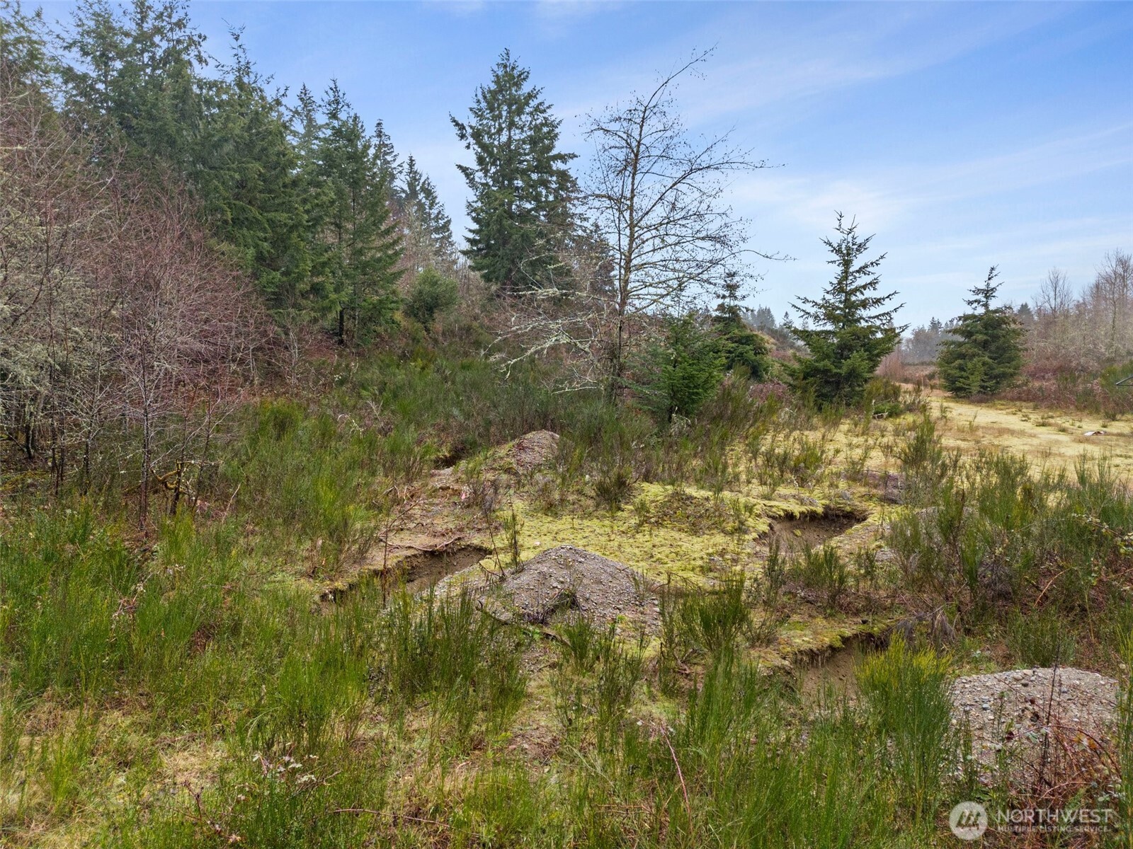 2641 28th Avenue NW Olympia WA 98502