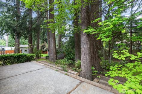16438 SE 22nd Street Bellevue WA 98008