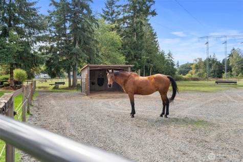 9902 Yelm Highway SE Olympia WA 98513