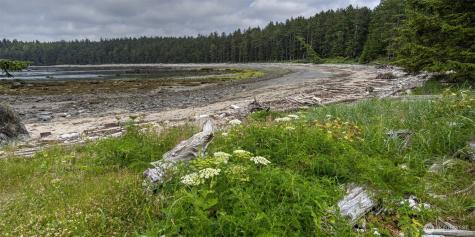 20860 Hoko-ozette Road Clallam Bay WA 98326