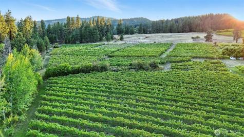 3725 Vineyard Way Kettle Falls WA 99141