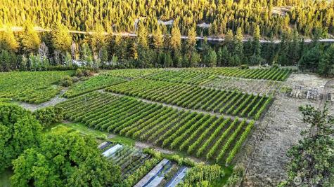 3725 Vineyard Way Kettle Falls WA 99141