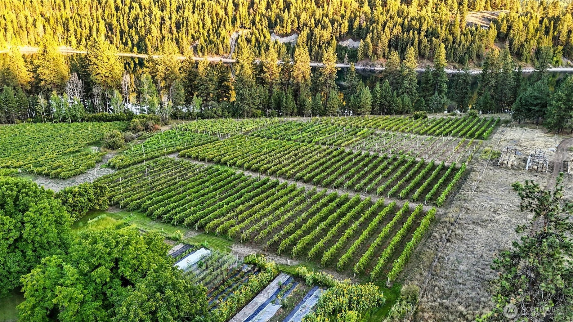 3725 Vineyard Way Kettle Falls WA 99141