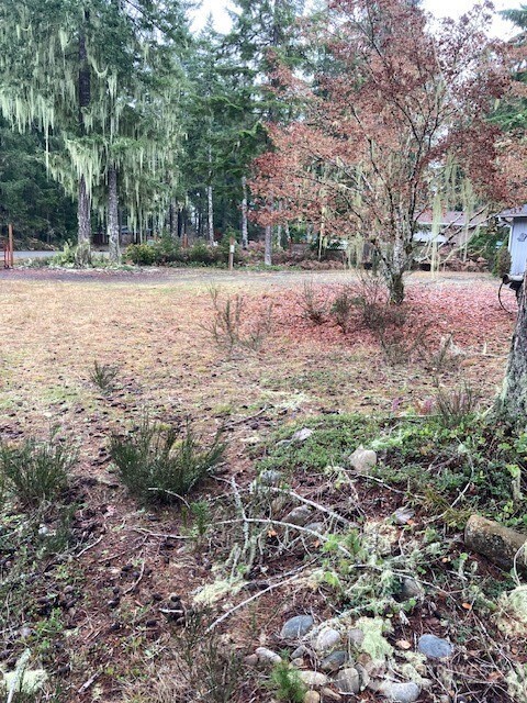 220 N Duckabush Drive N Hoodsport WA 98548