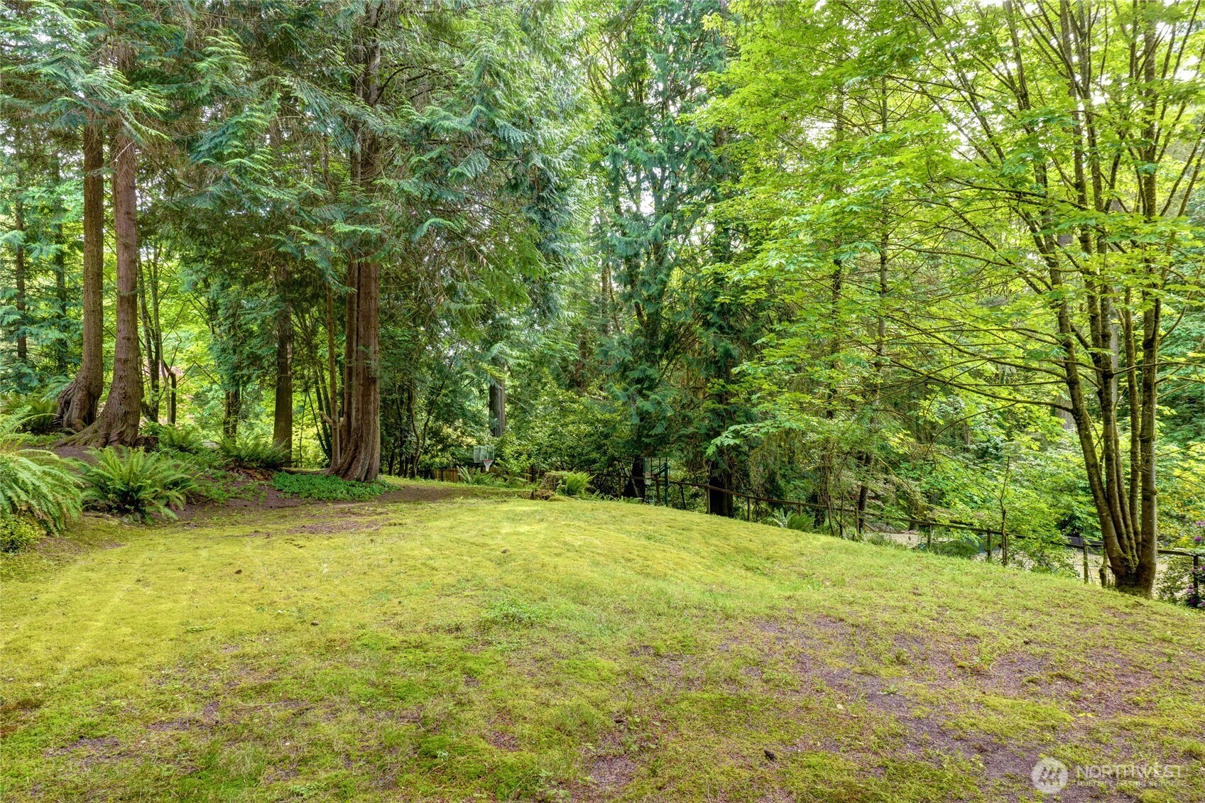 3903 142nd Place NE Bellevue WA 98007