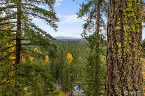 590 Oakmont Drive Cle Elum WA 98922