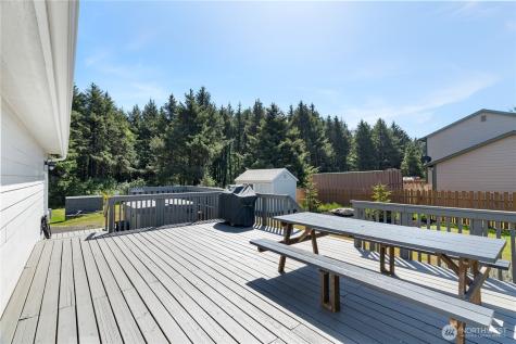 163 Ocean Boulevard Ocean City WA 98569