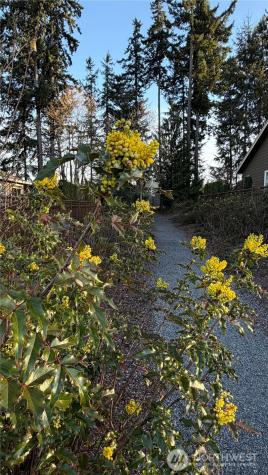 18914 146th Street E Bonney Lake WA 98391