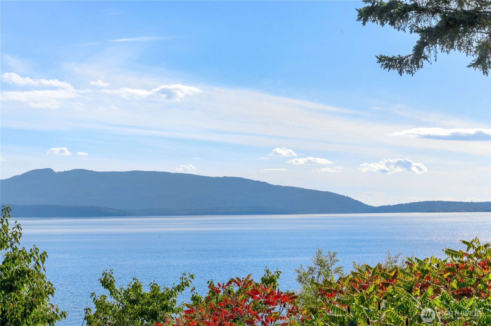 1359 Olympic Way Bellingham WA 98225