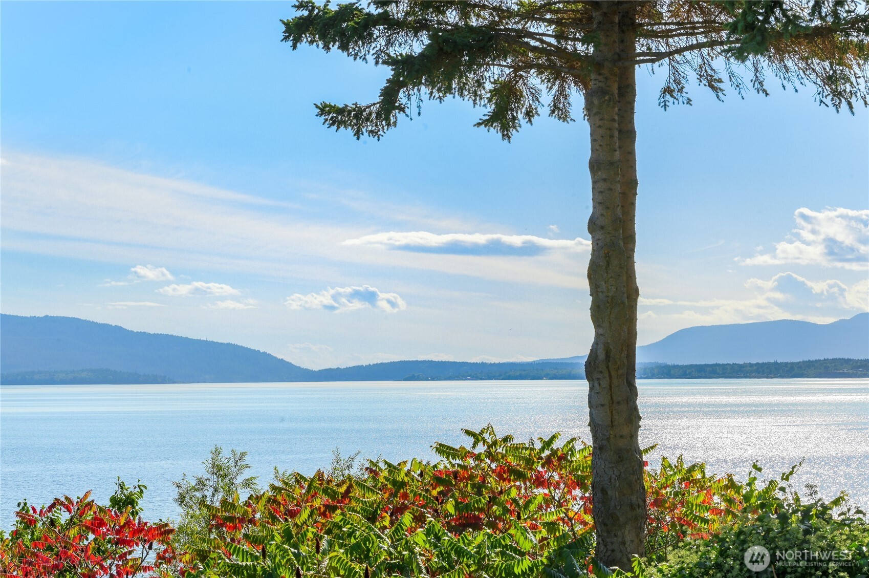 1359 Olympic Way Bellingham WA 98225
