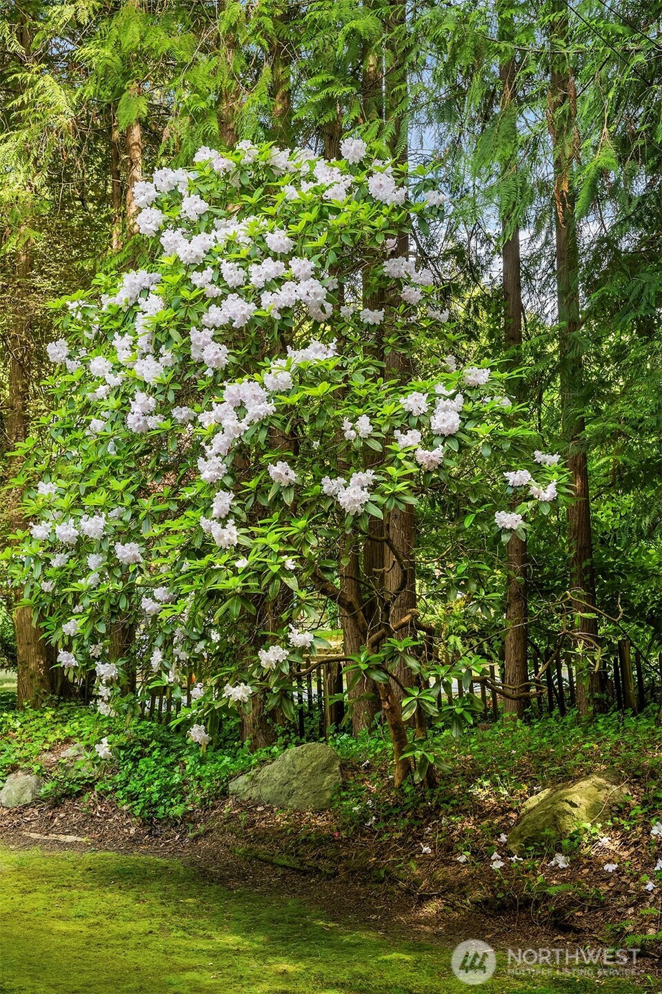 5709 80th Avenue SE Mercer Island WA 98040