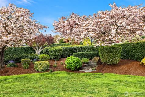 9359 Sunset Way Bellevue WA 98004