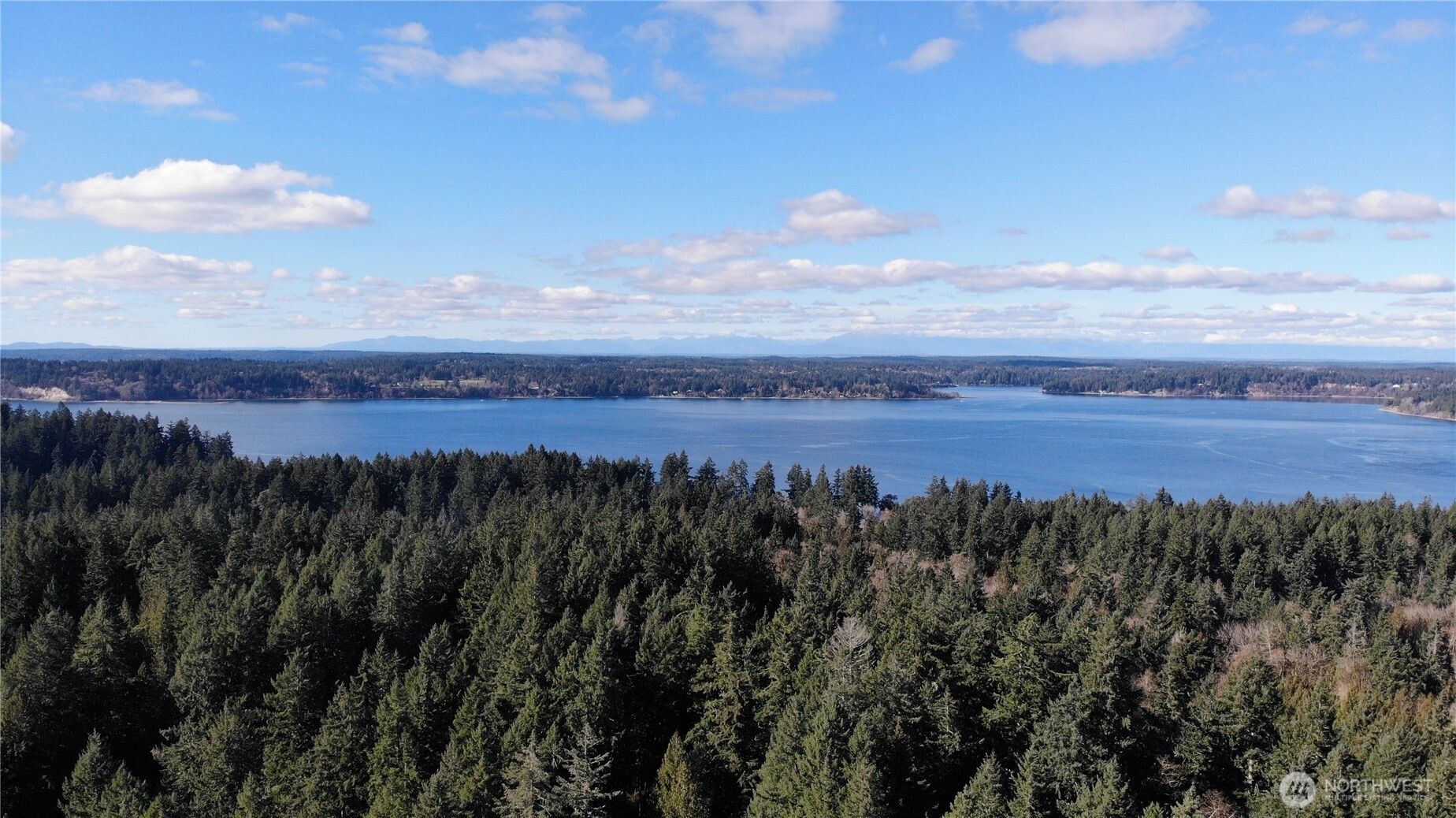 8912 126th Avenue Court Anderson Island WA 98303