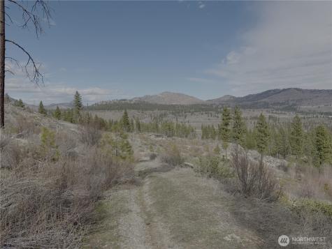 176 Cook Mountain Road N Okanogan WA 98840