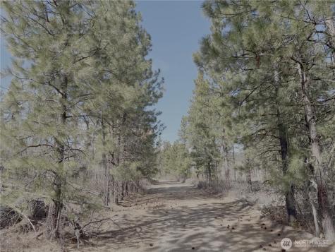 176 Cook Mountain Road N Okanogan WA 98840