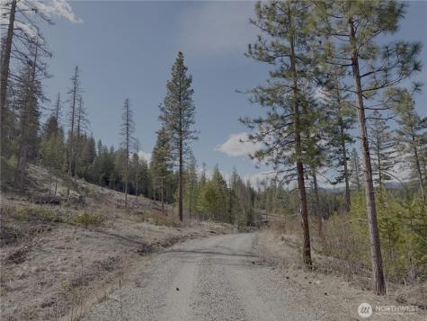 176 Cook Mountain Road N Okanogan WA 98840