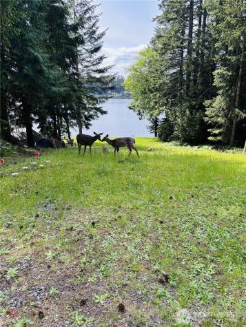 1130 E Timberlake Drive Shelton WA 98584