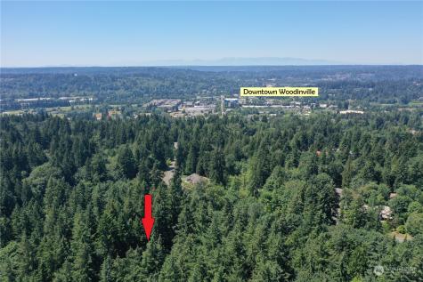 17420 151st Avenue Ne Woodinville WA 98072
