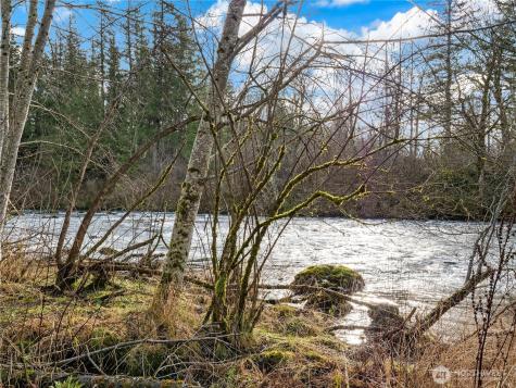 32805 SE 310th Street Ravensdale WA 98051