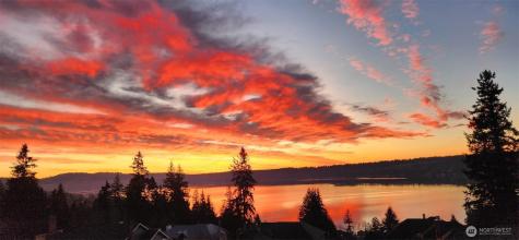 535 208th Avenue NE Sammamish WA 98075