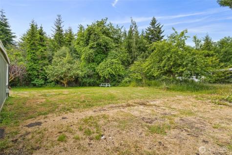 265 Knappton Road Naselle WA 98638
