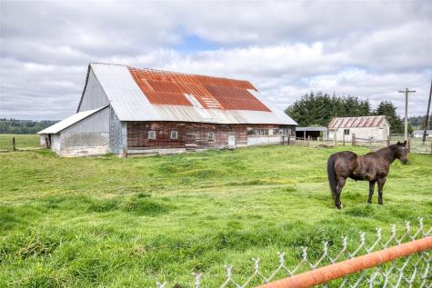21 Wynooche Valley Road Montesano WA 98563