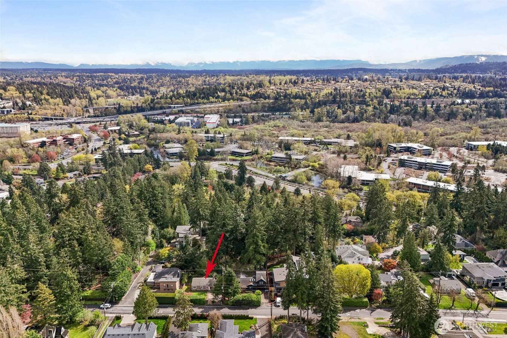 1210 108th Avenue SE Bellevue WA 98004