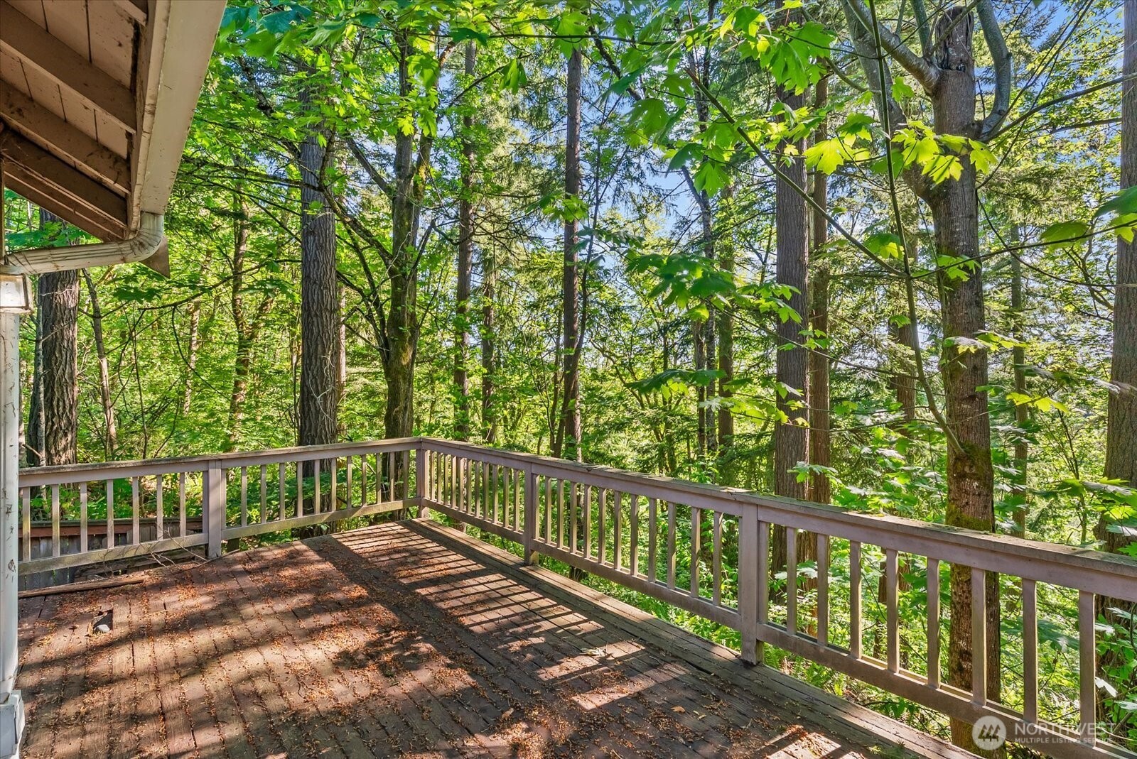 8561 135th Avenue SE Newcastle WA 98059