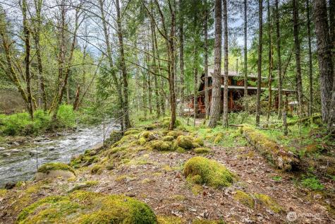 107 Goat Rocks Drive Packwood WA 98361