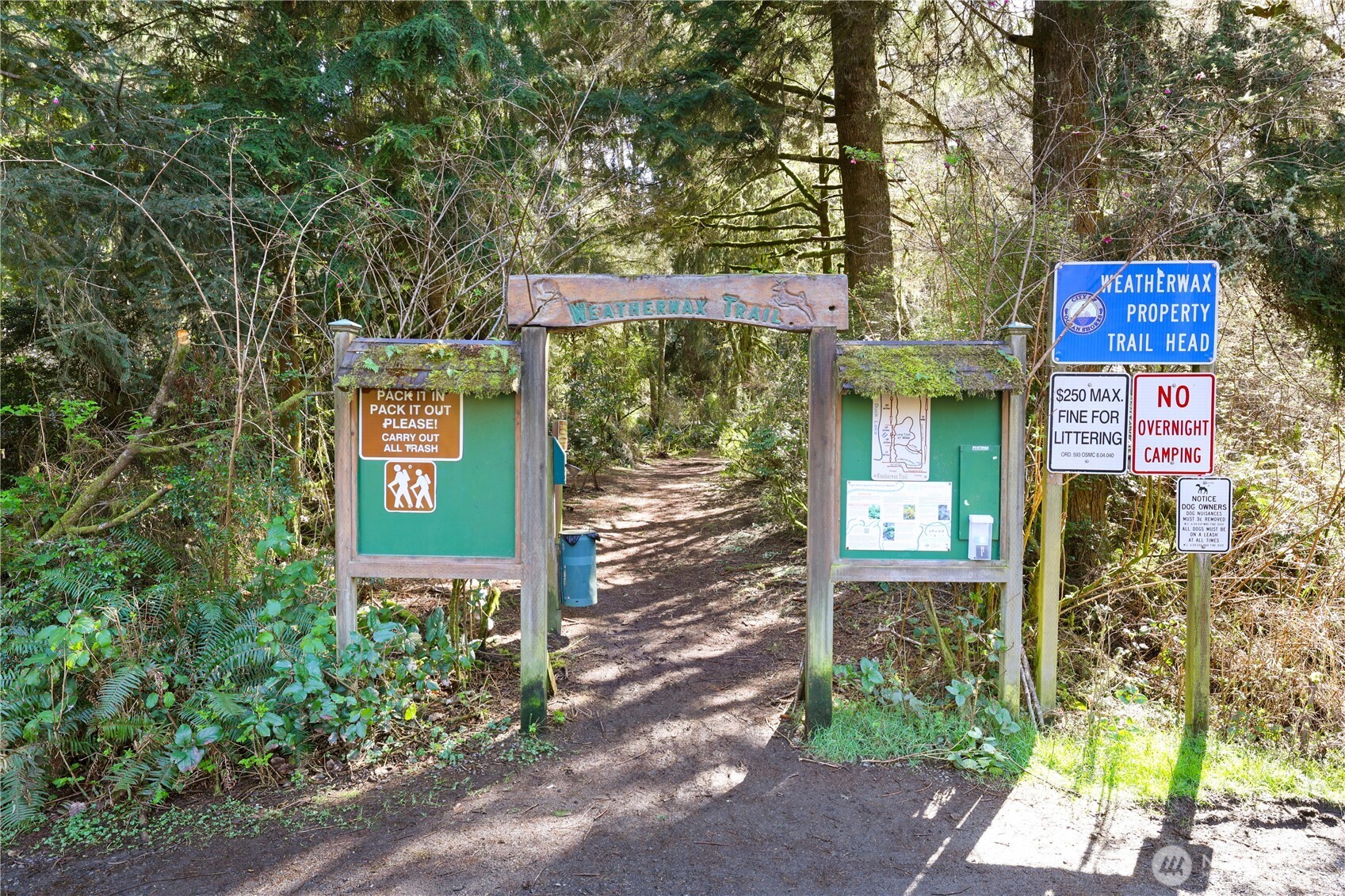 160 Dolphin Avenue NE Ocean Shores WA 98569