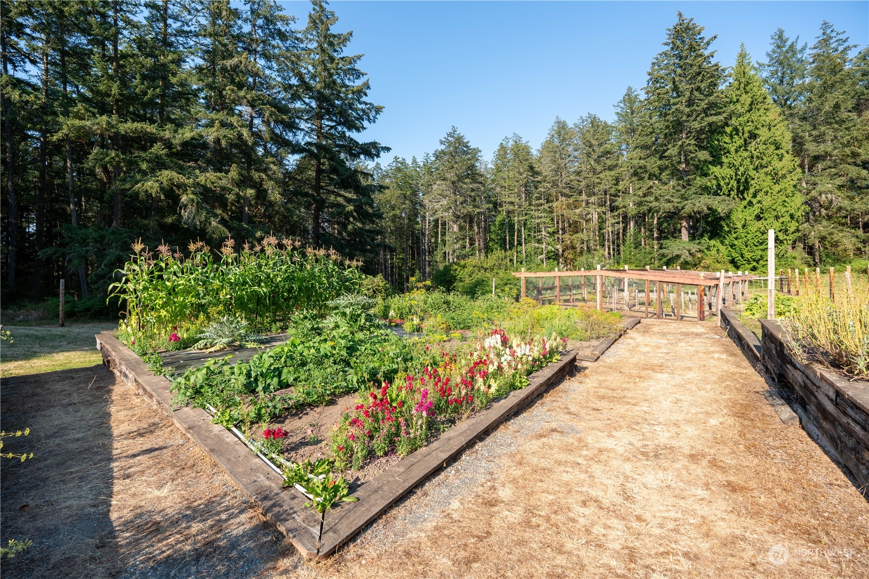 934 Mitchell Bay Road Friday Harbor WA 98250