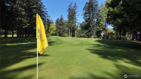 16 Saratoga (Including D-15) Drive Hat Island WA 98206