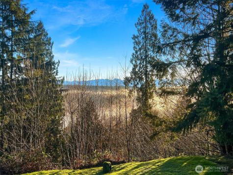 4326 212th Avenue NE Sammamish WA 98074