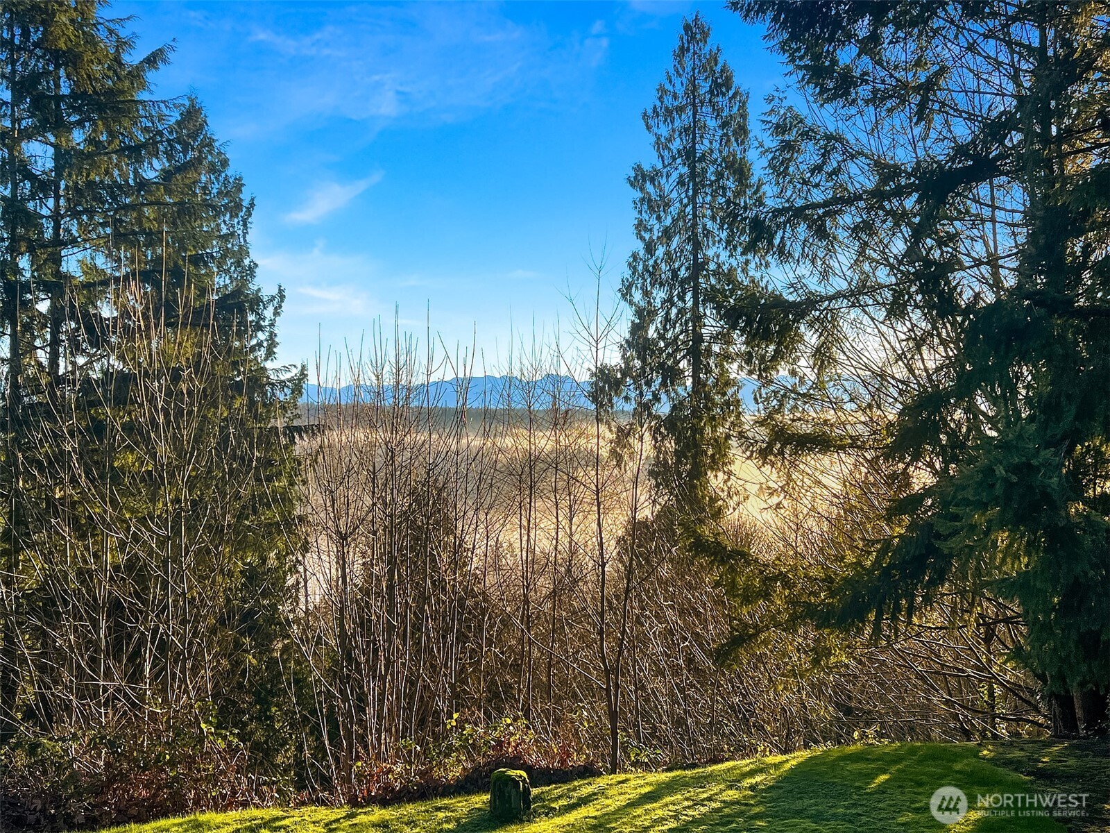 4326 212th Avenue NE Sammamish WA 98074