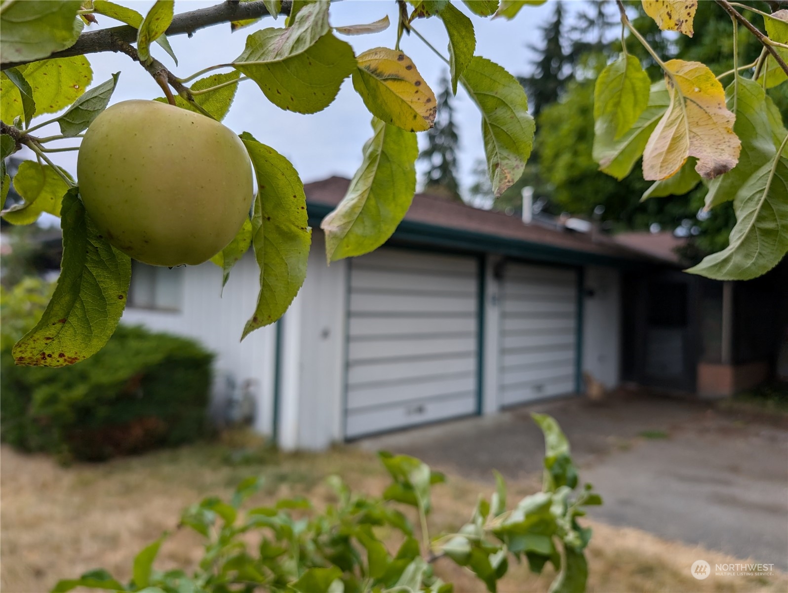 4102 49th Avenue NE Tacoma WA 98422