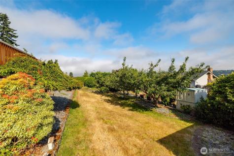 539 Birch Street Oak Harbor WA 98277