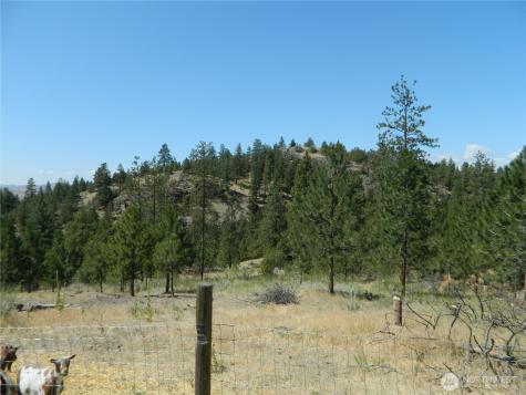 198 Antwyne Lane Tonasket WA 98855