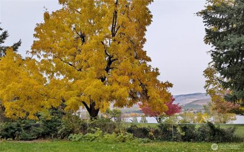 33364 97 Highway Oroville WA 98844