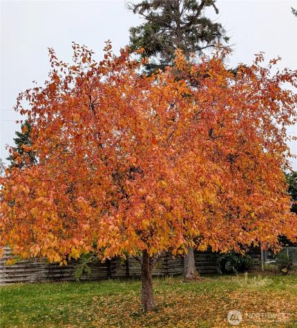 33364 97 Highway Oroville WA 98844